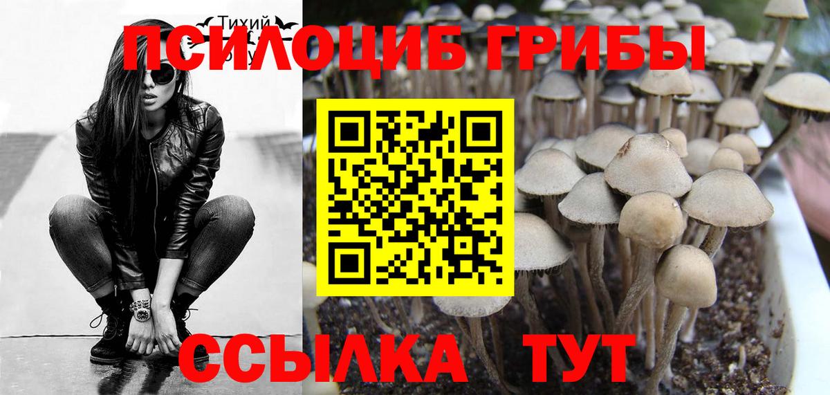 Феодосия  Галлюциногенные грибы Psilocybine cubensis  Вход с VPN 